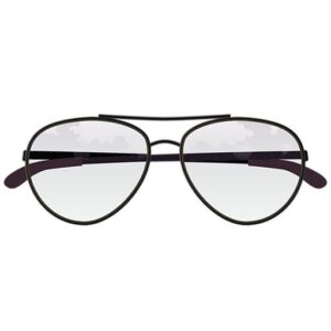 Wayfarer Sunglasses(V2)